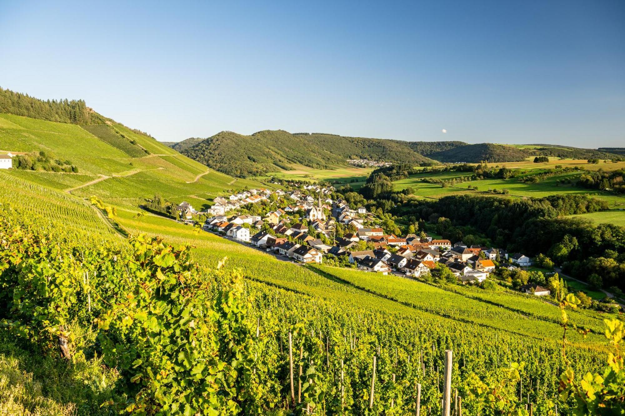 Weinhotel Restaurant Klostermuehle Ockfen Buitenkant foto