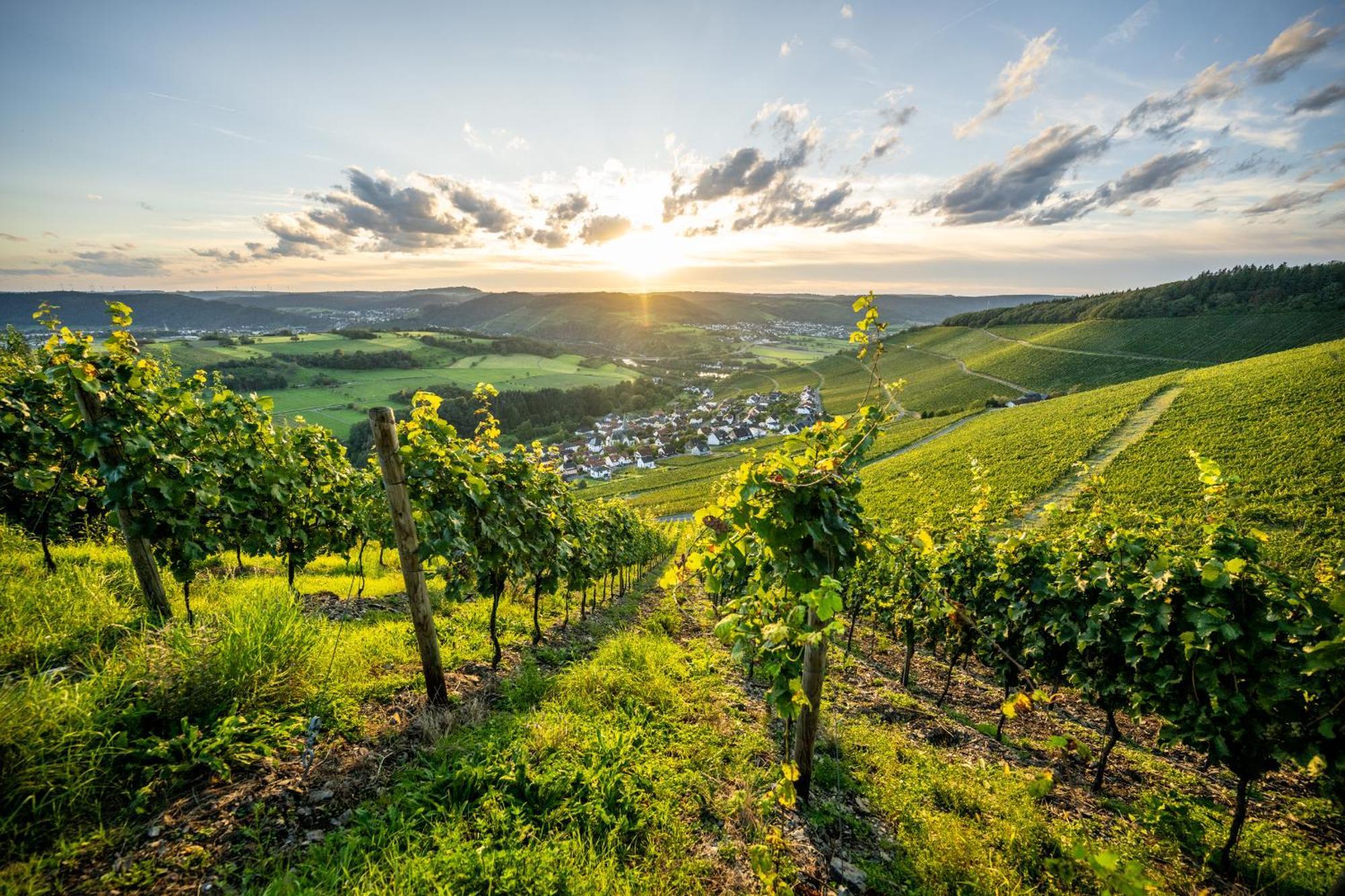 Weinhotel Restaurant Klostermuehle Ockfen Buitenkant foto